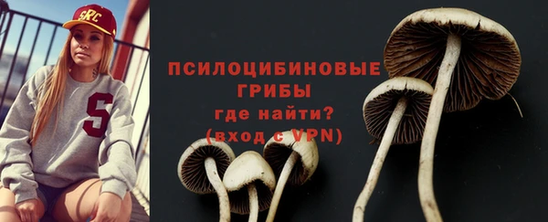 ПСИЛОЦИБИНОВЫЕ ГРИБЫ Володарск