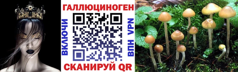 Галлюциногенные грибы мицелий  Ишимбай 